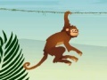 משחקי רשת הקוף הקופץ - Jumper