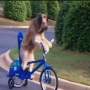 כלב רוכב על אופניים