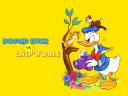 תמונת רקע Donald Duck vs Chip n Dale