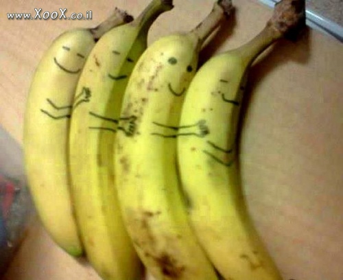 תמונת משפחת בננה