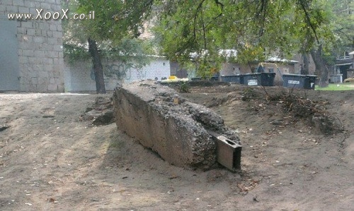 תמונת דיסק און קי מתקופת האבן