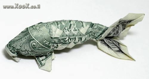 תמונת עכשיו אני מבין למה מחירי הדגים עלו!