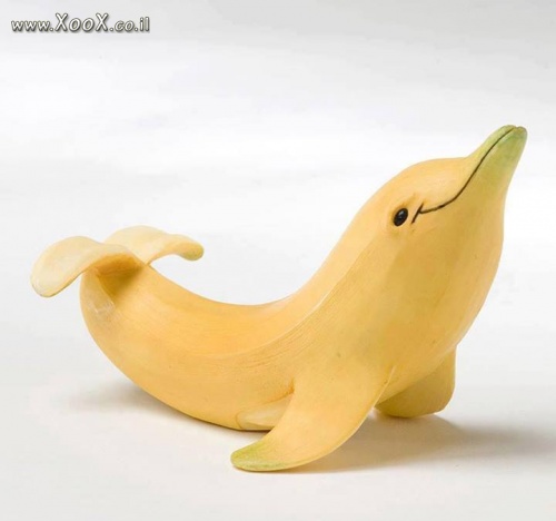 תמונת דולפין בננה