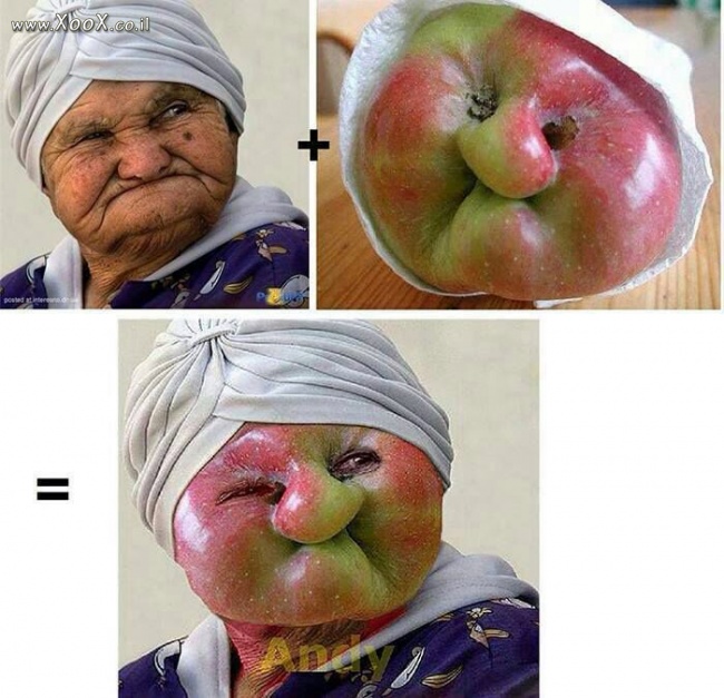 תמונת התפוח לא נופל רחוק מהעץ