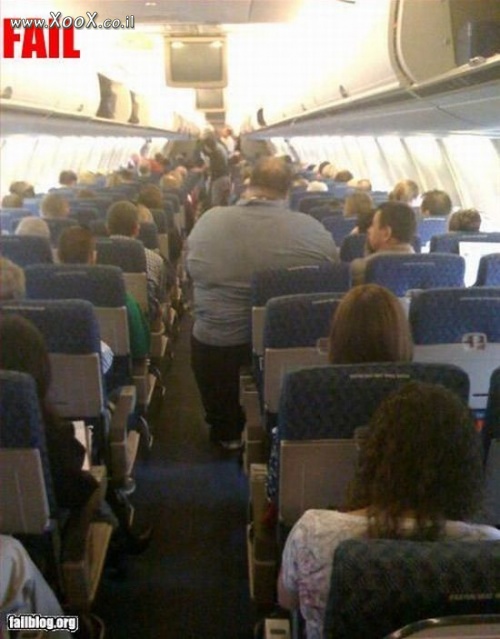 תמונת מושב במטוס