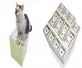 תמונות מצחיקות חתולי  שמור לי על הכסף!