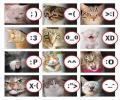 תמונות מצחיקות סמייל חתולים