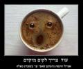 תמונות מצחיקות קפה בבוקר