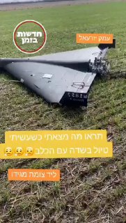 כתבם איראני שיורט בשטח פתוח...