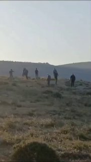 דיווח ראשוני: דווח על תקיפה של רועי צאן ישראלים בחווה של...