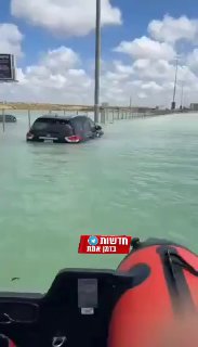 בין כל ההצפות בדובאי - רגע מתוק: המשטרה המקומית מחלצת חתול...