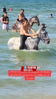 גם הבוקר כאילו אין מלחמה - עזתיים מחבלים בדיר אל בלאח בים😡...