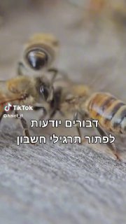 יותר חכמות ממה שחשבנו? ...