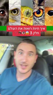 איך יתוש רואה? איך תולעת רואה? 😳 