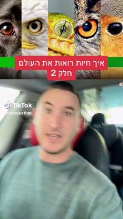 איך כוכבי ים ופרפרים רואים את העולם 👁️🦋⭐️ 