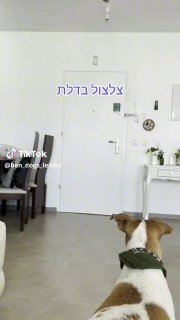 איך אתם נכנסים לבית שלכם? רשמו לי בתגובות 