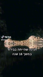 הטבע מדהים אותנו כל פעם מחדש ...