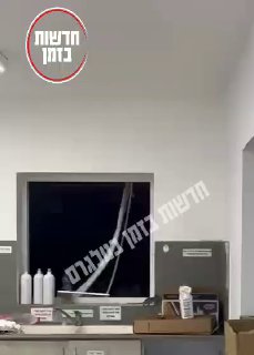עכברים בבסיס תל נוף...