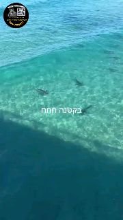 תחנת הכוח באשקלון😱😱...
