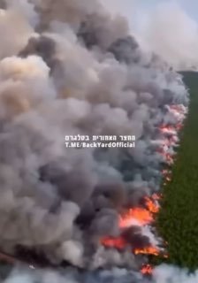 שריפות ענק בקרוליינה הצפונית בארצות הברית...