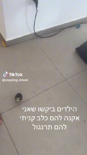 הסרטון הקצר של חבל ארץ טיולי סנפלינג ומערות עם ♬ צליל מקורי...