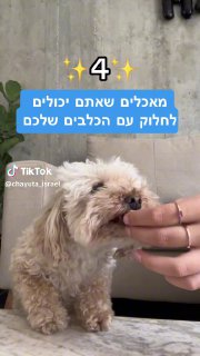 על איזה מאכלים בא לכם שנעשה בסרטון הבא? 🐶 