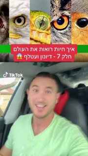 איך דיונון ועטלף רואים את העולם 😳👀🦇🦑 