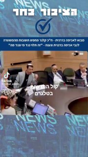 לפי התשובה שלו נראה שלא יעשו כלום לאהוד ברק וליאיר גולן...