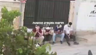 נפת רמאללה הבוקר מעצרים...