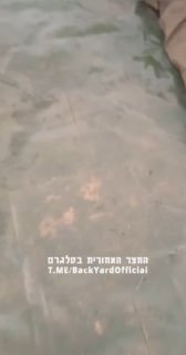 חייל שוודי וחייל אמריקאי מנסים להעיר חייל אוקראיני ...