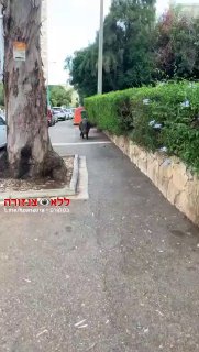 יום שגרתי בחיפה…...