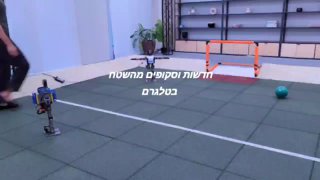 אימון רובוטים לשחק כדורגל תוך תוך כדי לימוד...