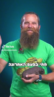 החיות של שלמה (@shlomoanimals): ״איפופוטם קטן ? מה הסיכוי שיש חיה כזה...