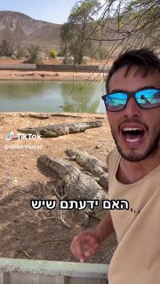 אל תלכו לשם!! חוות תנינים פרטית שעה נסיעה מתל אביב! 