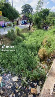 Sài Gòn Xanh 🍀 (@saigon_xanh): ״Dọn cỏ thông kênh với hơn 50 tình nguyện viên 