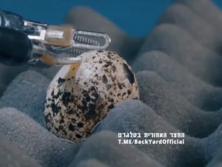 פיתוח סיני. זרועות נשלטות מרחוק עם מוטוריקה עדינה...