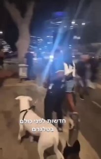 תיעוד מההפגנה פרש אחרי ילד ״אני יורה בך״...