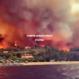 79 בני אדם נעצרו בחשד להצתה בשריפות יער ביוון....