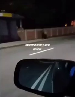 לאחר מס' ימים בקולודישצ'י הבלארוסית, זוהה דוב ליד גדרה של...