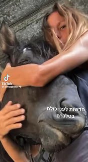 הניצחון של שגית נחמיה: בוטן ומייפל, הסוסים שלה, נגנבו מהחווה...