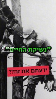 המציאות היא סרט מתח 