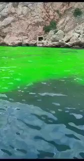 המים מול חופי בלקלווה הפכו לצבע ירוק חומצי....