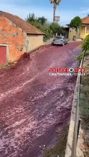 פורטוגל - בעיירה בצפון המדינה נוצר נהר של יין לאחר דליפה מאחד...