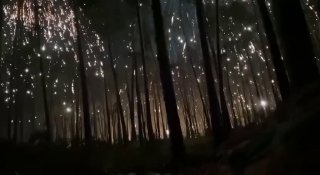 👀 Ось що відбувається вночі в лісах під Кремінною ...