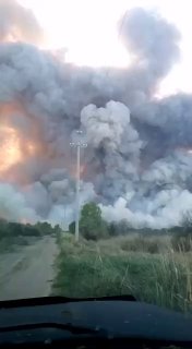 שריפת יער גדולה משתוללת בגבול אזור אלטאי וקזחסטן. שטחו כבר...