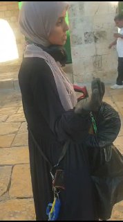 פלסטינים מגרשים אישה ערבייה מתוך מסגד אל-אקצא הטמא לאחר שחבר...