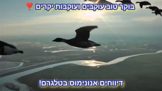 בוקר טוב עוקבים ועוקבות יקרים שישי שמח❤️❤️❤️...