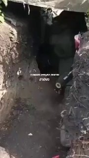 ספיידרמן לוקח צד בלחימה בין רוסיה לאוקראינה?😊...