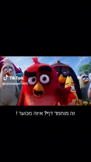 Tal shalom (@talshalom1995): ״אנגרי בירדס יצילו את המצב! 🦜🐧🐦🦩...