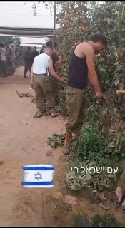 מילואימניקים אלופים מעבירים את הזמן עד לפקודת 'פעל' בעשיה...